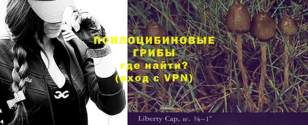 стафф Абинск