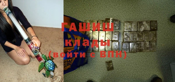 гидра Абаза