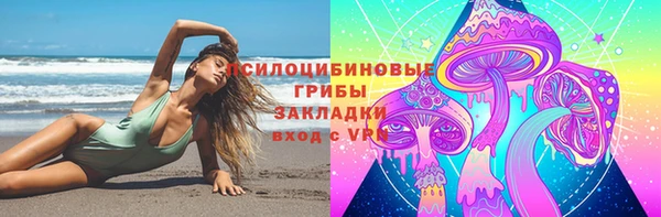 стафф Абинск