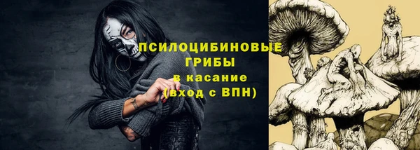 стафф Абинск