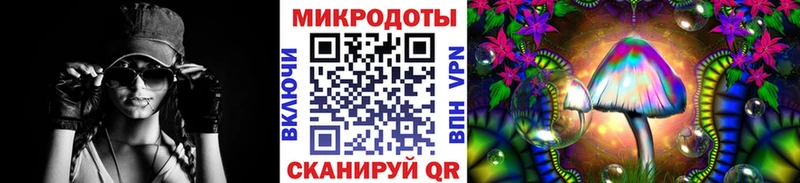 OMG рабочий сайт  купить   Элиста  Псилоцибиновые грибы GOLDEN TEACHER 